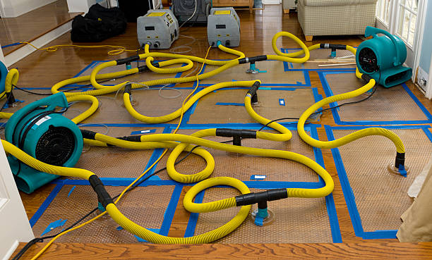 Professional Structural Drying And Dehumidification technician working in Appleton, WI
